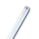 Leuchtstofflampen