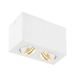 LED Ceiling luminaire TRILEDO Double, 16W 3000K 1340lm 38°, 30° separately swiveling, white