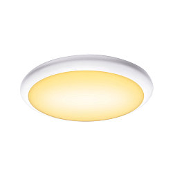 LED Au�enleuchte RUBA 42 CW LED Wand-/Deckenleuchte, CCT switch 3000/4000K, 2000/2270lm, IP65, wei�