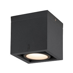 Outdoor LED Deckenleuchte ESKINA FRAME CL SINGLE CCT, IP65 IK06, 15W 3000/4000K 95�, verstellbar, Anthrazit