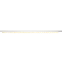 LED 3-Phasen-Leuchte SIGHT EASY DALI, IP20 IK06, 150cm, doppelt asymmetrisch, flach, DALI dimmbar, starr, 41W 3000K 2x25�