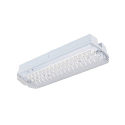LED Wand-/Deckenleuchte P-LIGHT, rechteckig, 5,2W, 6000K, 90lm, IP65, wei� / transparent