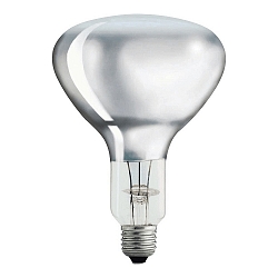 Philips IR250RH BR125 230-250V E2 Landwirtschaft + Lebensmittel