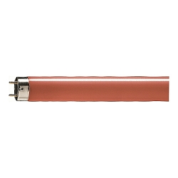 Philips Leuchtstoffr�hre TLD 15, G13, rot, 36W