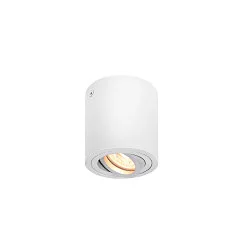 Deckenleuchte TRILEDO CL, Zylinder, GU10 QPAR51 max. 10W, drehbar und schwenkbar, Weiß