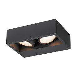 LED Außenwandleuchte ESKINA FRAME WL DOUBLE CCT, IP65 IK06, 27W 3000/4000K 95°/95°, verstellbar, anthrazit, breite Variante
