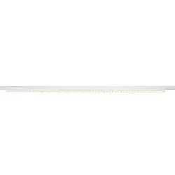 LED 3-Phasen-Strahler SIGHT EASY MULTIPOWER DALI, 150cm, CRi>90, schaltbar, asymmetrisch, starr, 41-66W 3000K 10200lm 2x25°