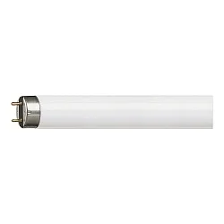 Philips Leuchtstofflampe TLD, G13, 36W 840-1 kaltweiß, 100cm