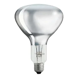 Philips IR150RH BR125 230-250V E2 Landwirtschaft + Lebensmittel