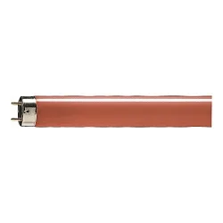 Philips Leuchtstoffröhre TLD 15, G13, rot, 36W