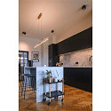 Ceiling luminaire TRILEDO Double, GU10 QPAR51, black