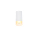 Aufbau-Downlight ASTINA, Zylindrisch, GU10 QPAR51, wei�