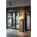 SLV LED Deckenleuchte NUMINOS SPOT DALI L, 3000K, 36�, 2340lm, schwarz / schwarz