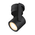 LED Wand-/Deckenleuchte OCULUS CW, DIM-TO-WARM 2000-3000K, 36-780lm, IP20, Schwarz