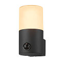 Au�enwandleuchte GRAFIT, IP44 IK02, E27, rund, anthrazit / Diffusor in Rauchglas-Optik, satiniert, mit Sensor