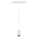 SLV LED Pendelleuchte NUMINOS� XS TRACK 48V, 20�, 8,7W, CRI90, DALI, IP20, 2700K, 640lm, wei�/schwarz