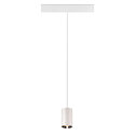 SLV LED Pendelleuchte NUMINOS� XS TRACK 48V, 20�, 8,7W, CRI90, DALI, IP20, 2700K, 670lm, wei�/chrom