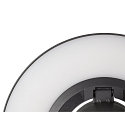SLV LED Au�enwandleuchte I-RING, IP65 IK05, � 24cm, 9.2W 3000K 670lm, dreh- und neigbar, schaltbar, anthrazit