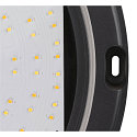 LED Aufbauleuchte OUTDOOR BULKHEAD V 360, IP65 IK10, � 36cm, mit Sensor, 20W 3000/4000/6500K 110�, CRI 80, schaltbar, schwarz