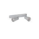 SLV Wand- und Deckenleuchte PURI 2.0 DOME, asymmetrisch, 2x GU10 max. 6W, grau