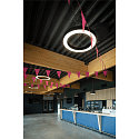 SLV LED Pendelleuchte MEDO� RING 90 PHASE, 43W 3000/4000K (CCT Switch) 5000/5300lm 110�, CRi >90, dimmbar, schwarz