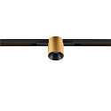 SLV LED Spot FIXT-IT!, 48V, DALI, rund, f�r Einbauschiene, 36�, 7W, 2700K, 800lm, UGR<19, IP20, dimmbar, gold/schwarz