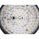 LED Spot GRIP! FLAT TRACK 48V, rund, 14,5W, 2700/3000K, 400lm, IP20, dimmbar, schwarz/gold