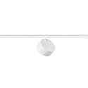 SLV LED NV-Schienenstrahler KALU 2.0 DALI, IP20, zylindrisch, CRi>90, UGR<19, DALI dimmbar, kardanisch, 9W 2700K 1400lm 36�, wei�