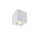 Ceiling luminaire TRILEDO Single, GU10 QPAR51, 30° swiveling, cuboid, white
