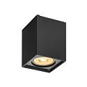 Deckenleuchte ALTRA DICE CL, Single, GU10 QPAR51, Schwarz
