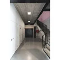 SLV LED Wand-/Deckenleuchte SENSER 24 CW, eckig, 15W, 1200lm, IP20, weiß, 15W 3000K