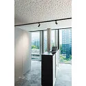SLV LED 3-Phasen Leuchte NUMINOS PHASE S, 3000K, 36°, 1020lm, Schwarz / Schwarz