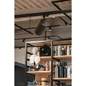 SLV LED 3-phase spot NUMINOS® XL PHASE, 36W, 3000K, 24°, black