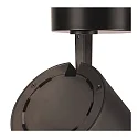 SLV LED Ceiling luminaire NUMINOS® SPOT DALI XL, 36W, 4000K, 36°, black