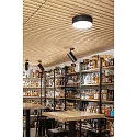 SLV LED Ceiling luminaire NUMINOS® SPOT DALI XL, 36W, 4000K, 36°, black
