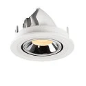 SLV LED Deckeneinbauleuchte NUMINOS® GIMBLE S, 3000K, 55°, Weiß / Chrom