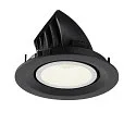 SLV LED Deckeneinbauleuchte NUMINOS® GIMBLE M, 4000K, 20°, Schwarz / Weiß