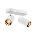 SLV Wand- und Decken-Spotleiste ASTO TUBE DOUBLE, IP20, zylindrisch, 2-flammig, 2x GU10 max. 10W, weiß