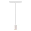 SLV LED Pendelleuchte NUMINOS® XS TRACK 48V, 20°, 8,7W, CRI90, DALI, IP20, 2700K, 670lm, weiß/weiß