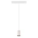 SLV LED Pendelleuchte NUMINOS® XS TRACK 48V, 20°, 8,7W, CRI90, DALI, IP20, 2700K, 670lm, weiß/chrom