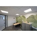 SLV LED Einlege-Deckenleuchte PANEL V 625 DALI, IP54 IK03, 62cm, 34W 3000/4000K (CCT Switch)  85°, CRI 80, UGR <19, dimmbar