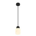SLV Pendelleuchte VARYT, E14, 1x max. 6W, schwarz