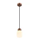 SLV Pendelleuchte VARYT, E14, 1x max. 6W, kupfer