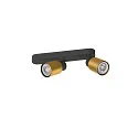 SLV Wand- und Deckenleuchte PURI 2.0 TUBE, asymmetrisch, 2x GU10 max. 6W, schwarz / gold