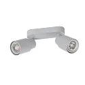 SLV Wand- und Deckenleuchte PURI 2.0 TUBE, Long, 2x GU10 max. 6W, grau