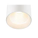 SLV 3-phase luminaire TRACKSPOT C 29 50° adjustable, switchable IP20, white, lacquered 