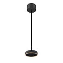 LED Pendelleuchte GRIP! FLAT, 16W, 2700/3000K, 400lm, IP20, dimmbar, schwarz/gold