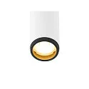 SLV ceiling luminaire GRIP!S DOUBLE suitable for VDU workstation IP20, black, white, lacquered dimmable