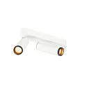 ceiling luminaire GRIP!M DOUBLE IP20, black, white, lacquered dimmable