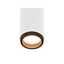 ceiling luminaire GRIP!M DOUBLE IP20, black, white, lacquered dimmable